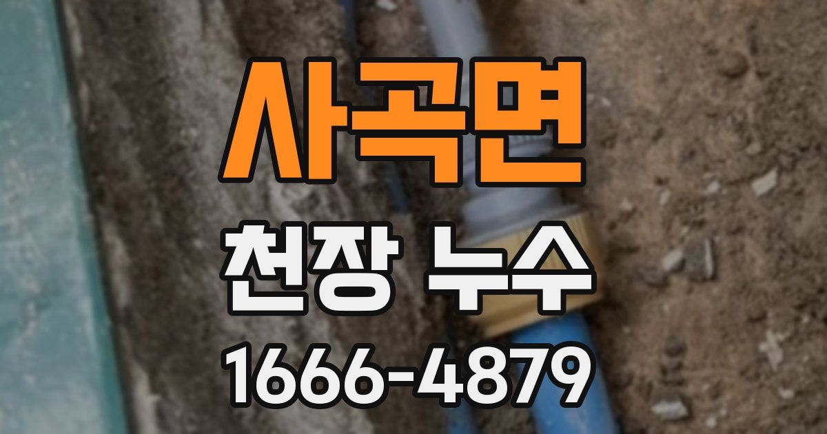 사곡면 천장 누수