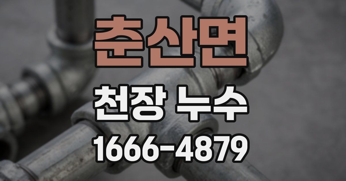춘산면 천장 누수