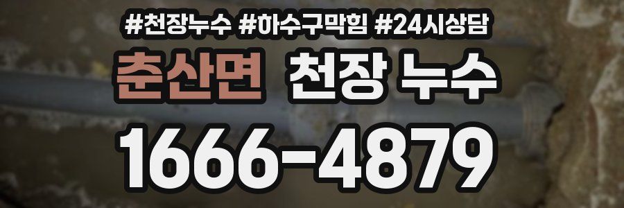 춘산면 천장 누수