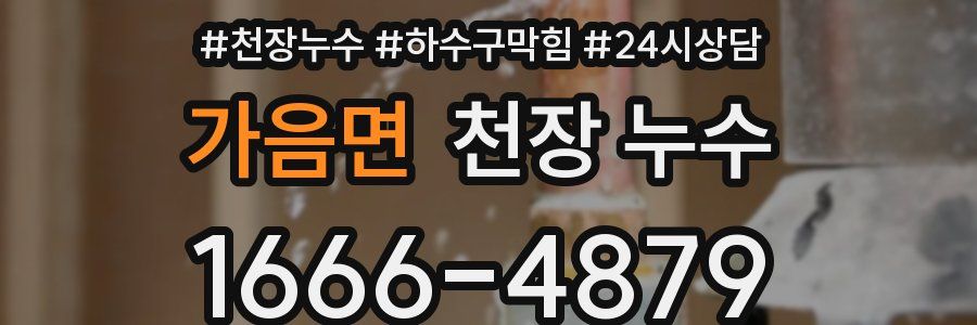 가음면 천장 누수