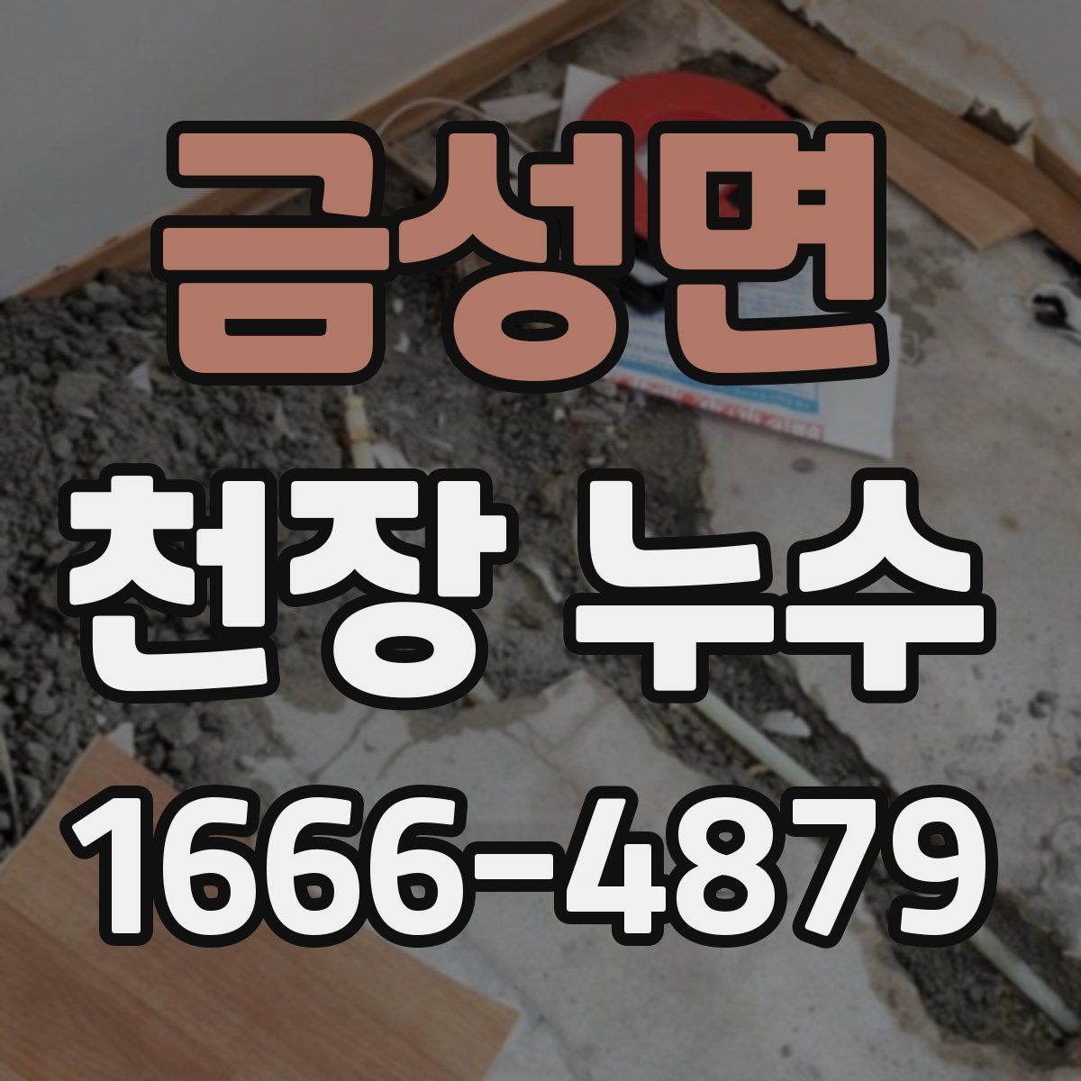 금성면 천장 누수