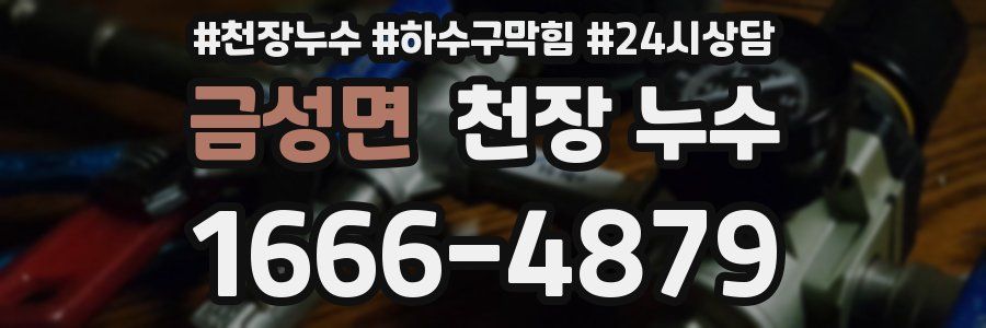 금성면 천장 누수