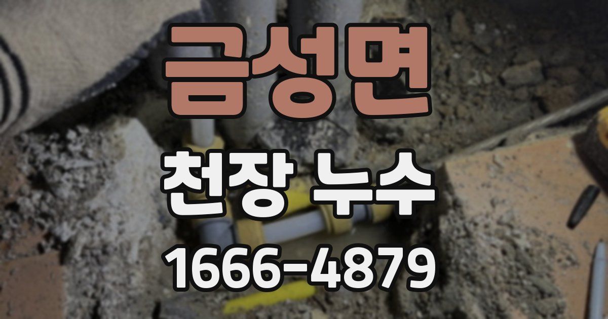 금성면 천장 누수