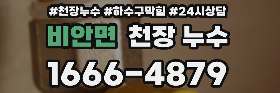 비안면 천장 누수