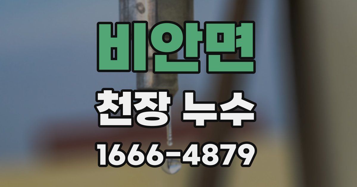 비안면 천장 누수