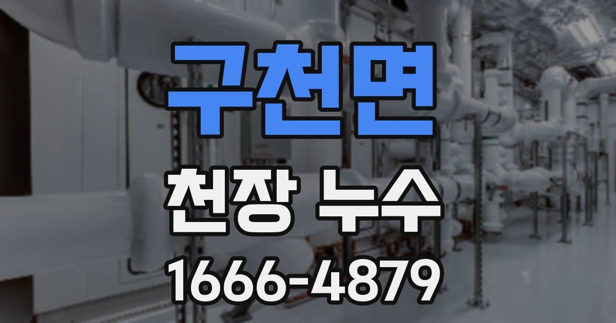구천면 천장 누수