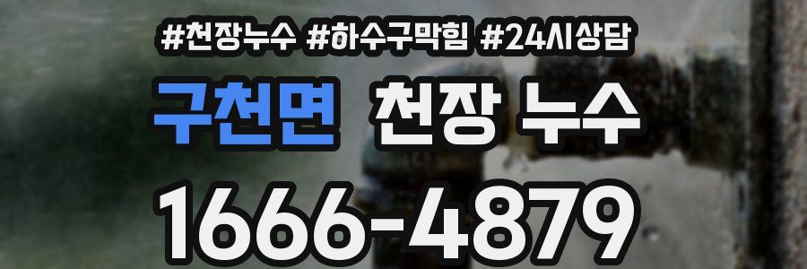 구천면 천장 누수