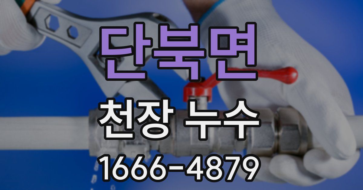 단북면 천장 누수