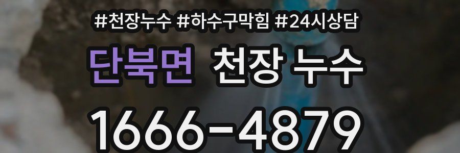 단북면 천장 누수