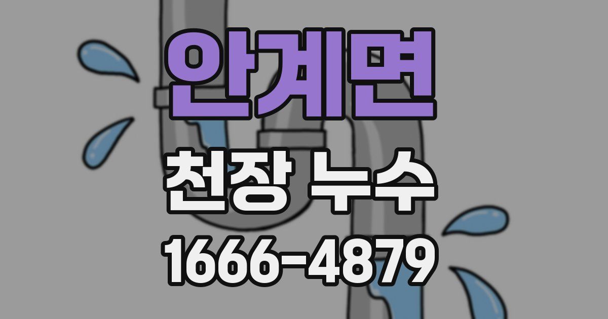 안계면 천장 누수