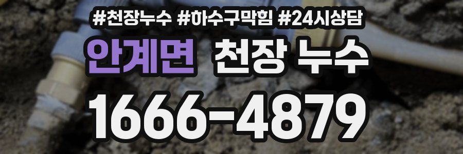 안계면 천장 누수