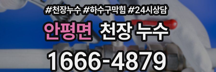 안평면 천장 누수