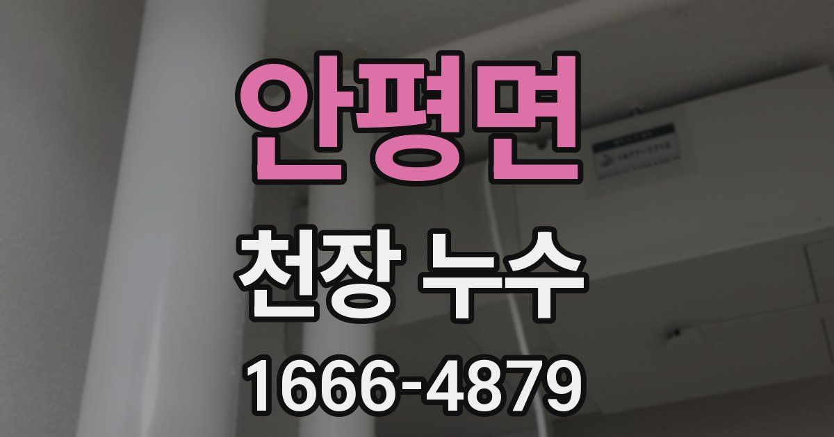 안평면 천장 누수