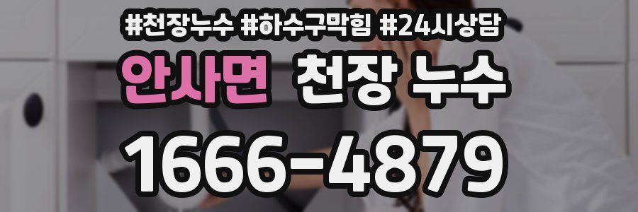 안사면 천장 누수