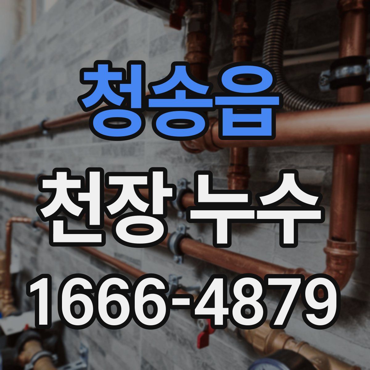 청송읍 천장 누수