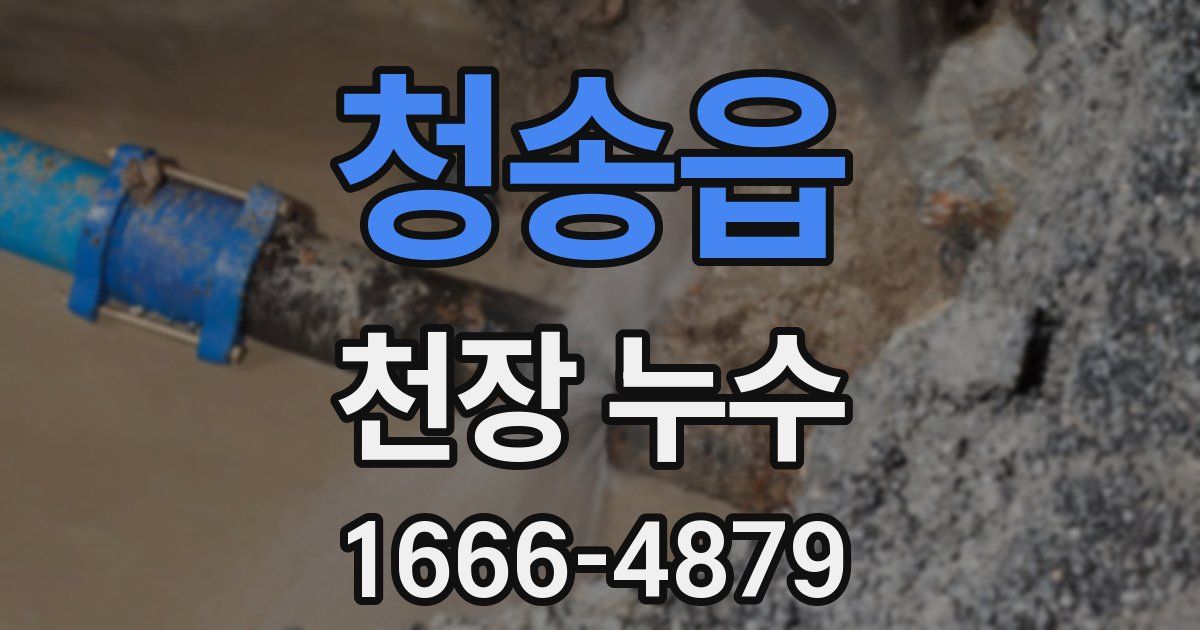 청송읍 천장 누수