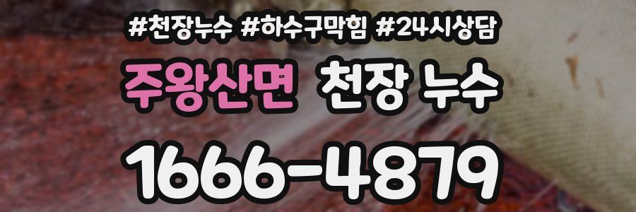 주왕산면 천장 누수