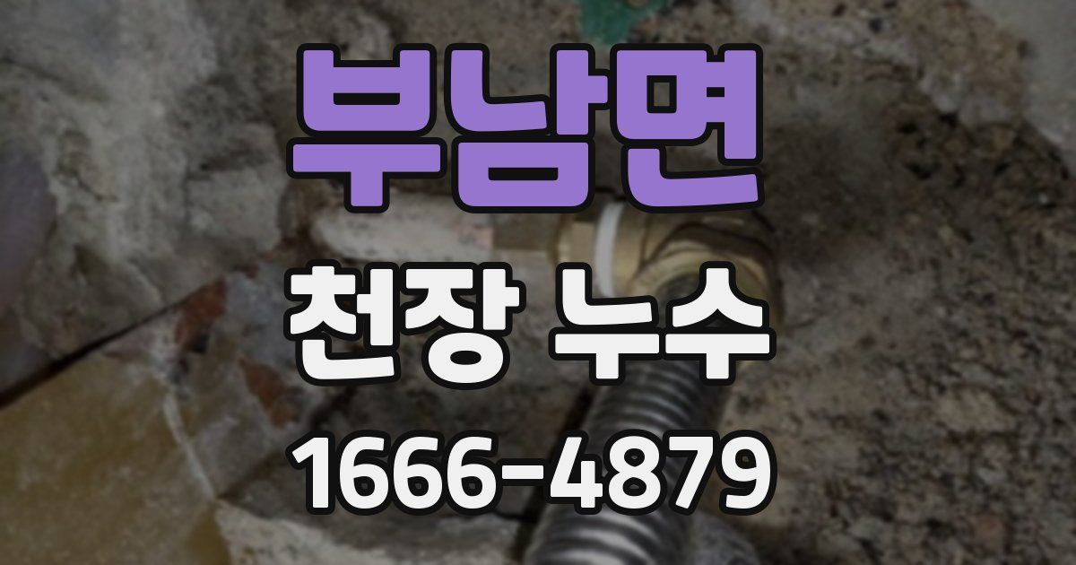 부남면 천장 누수