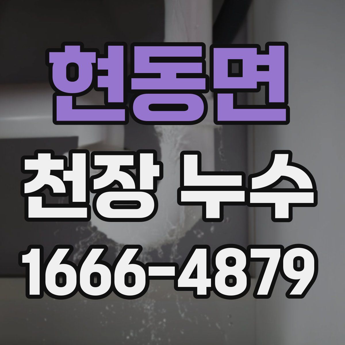 현동면 천장 누수