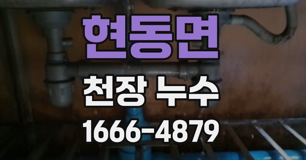 현동면 천장 누수