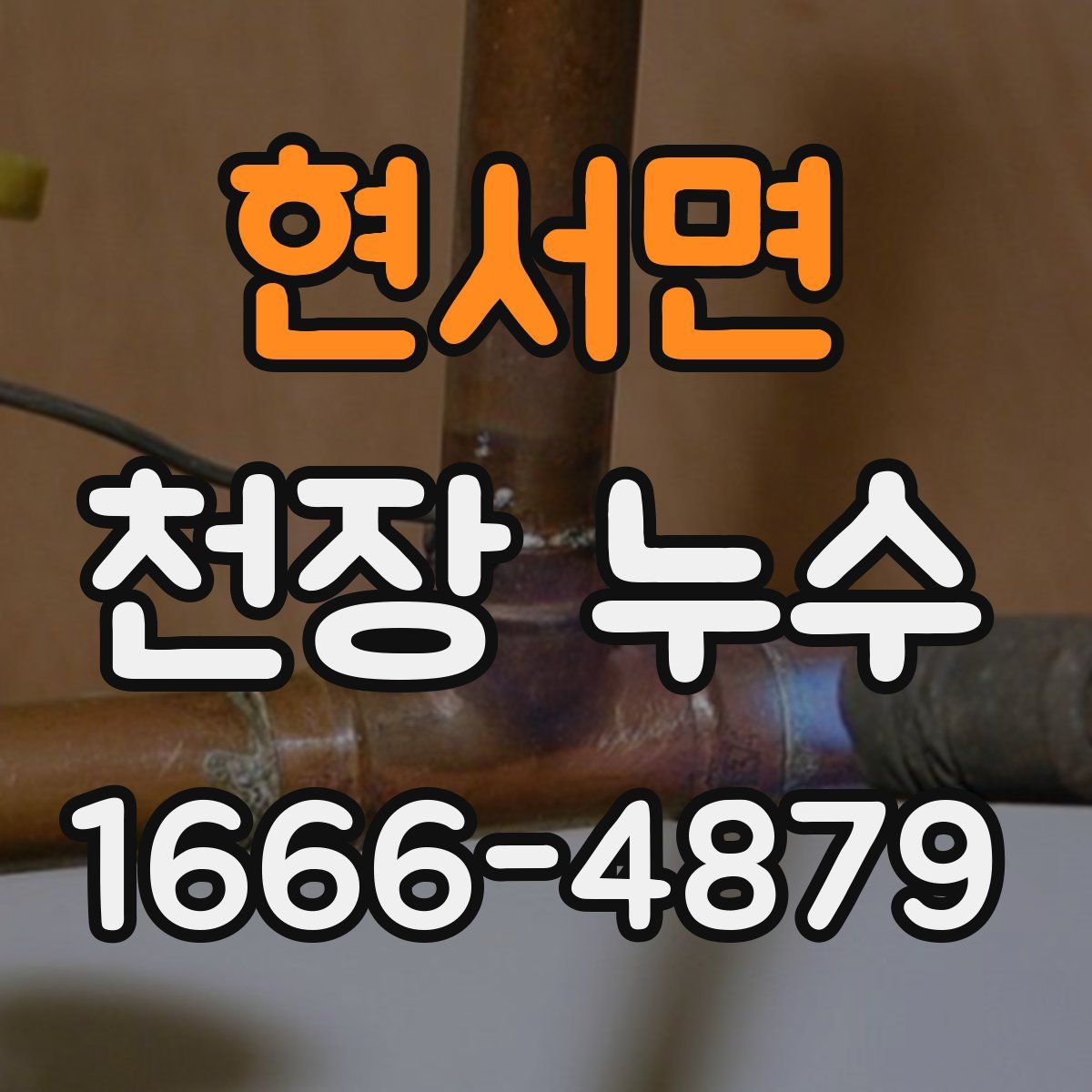 현서면 천장 누수