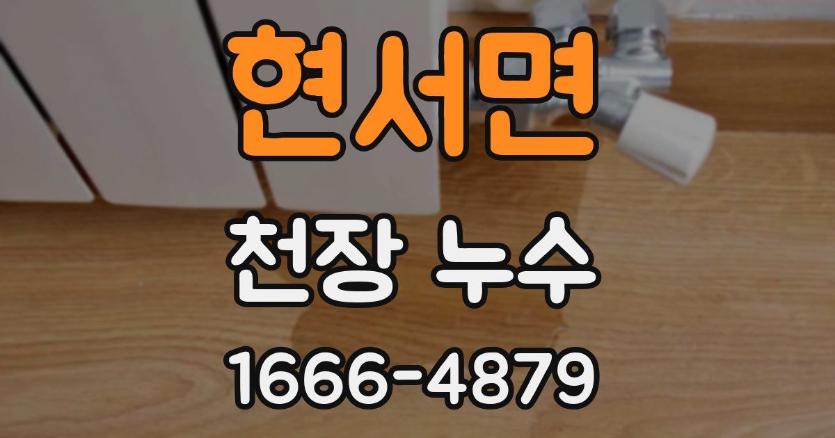 현서면 천장 누수