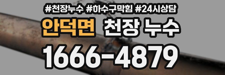 안덕면 천장 누수
