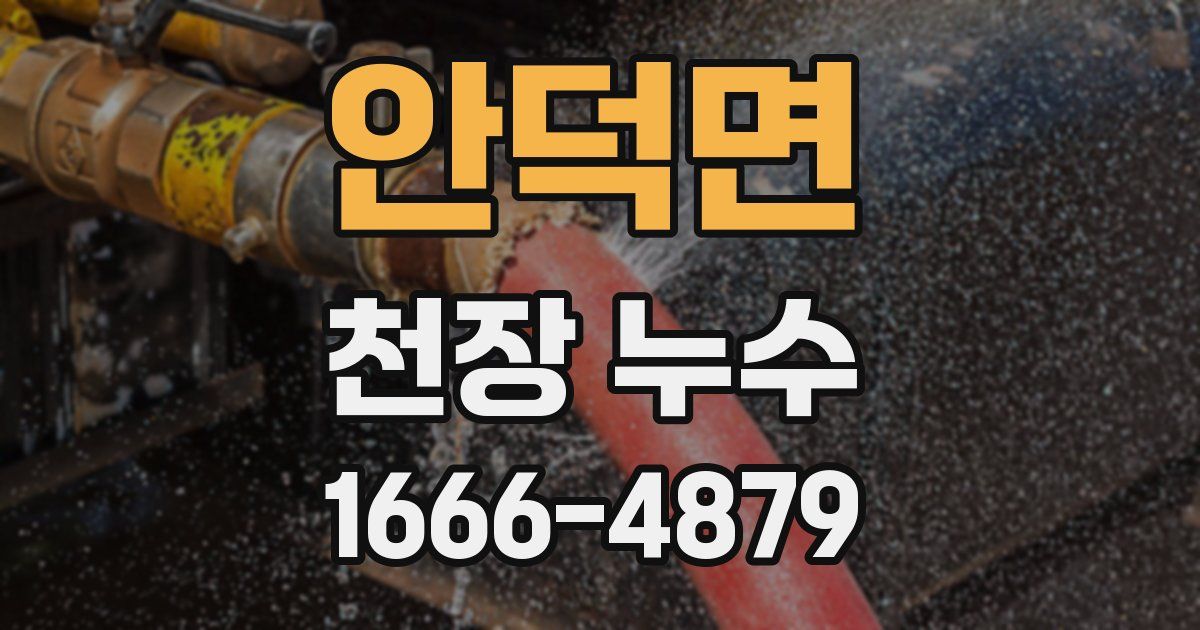 안덕면 천장 누수