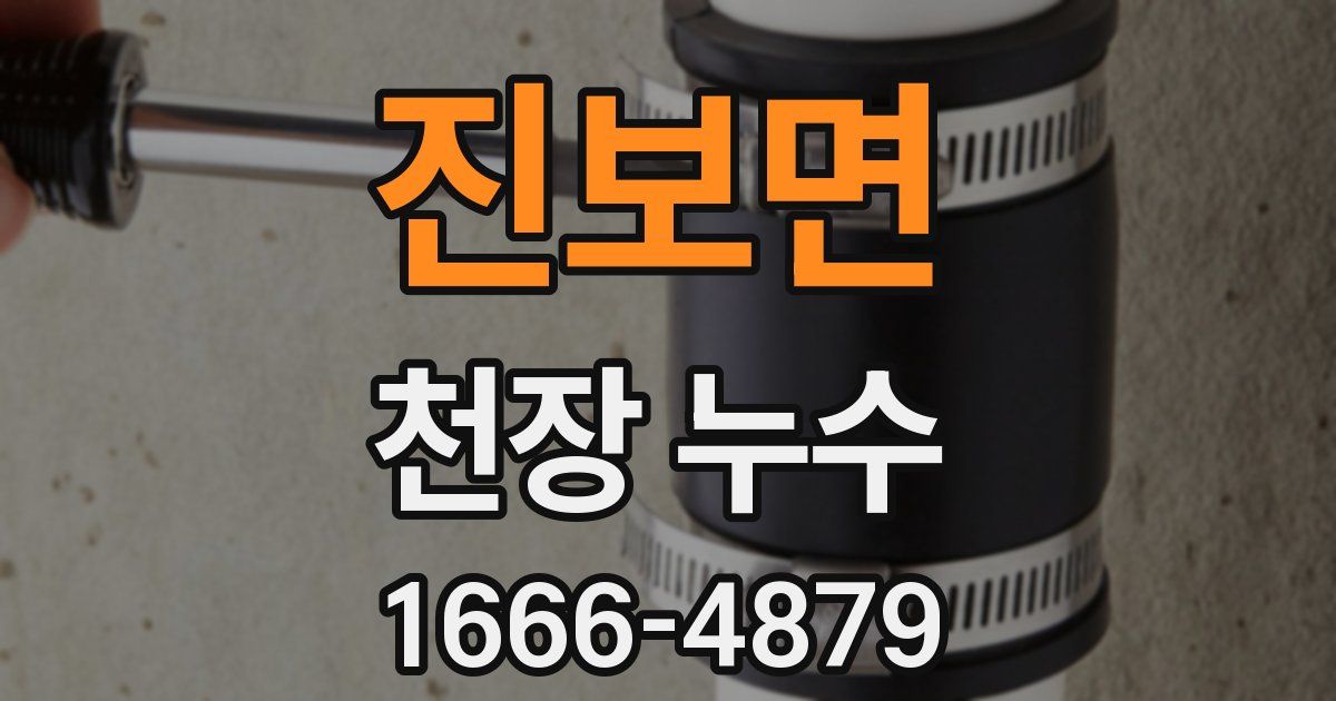 진보면 천장 누수