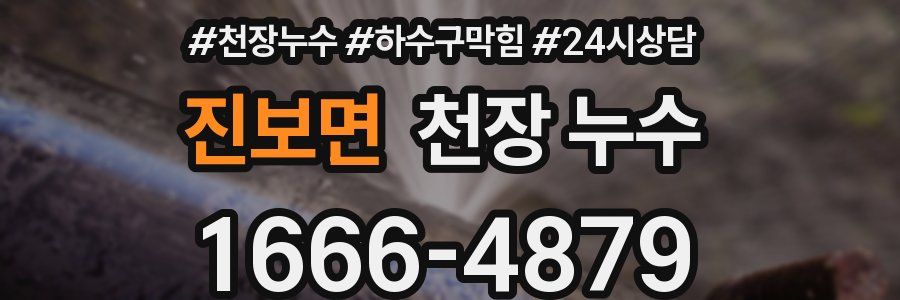 진보면 천장 누수