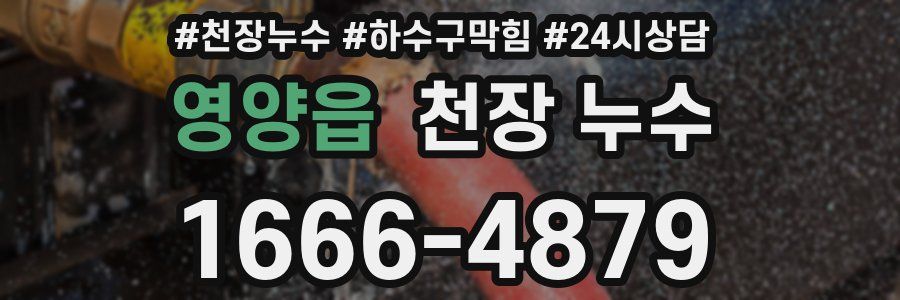 영양읍 천장 누수