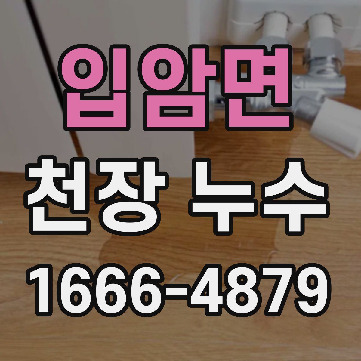 입암면 천장 누수