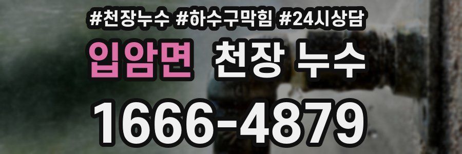 입암면 천장 누수