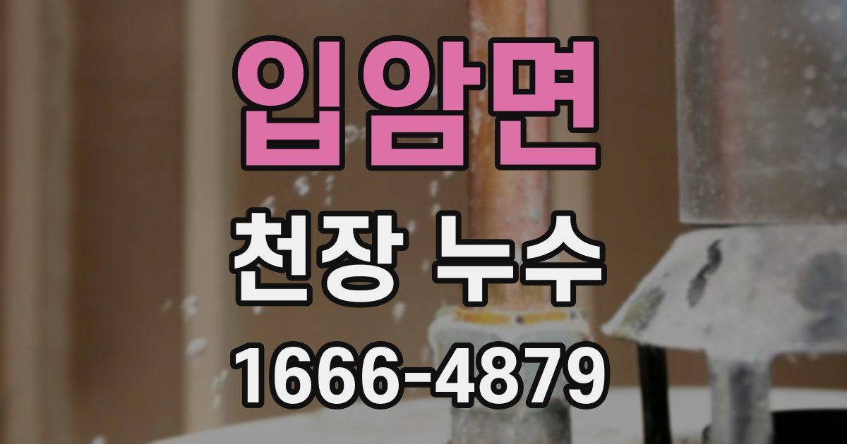 입암면 천장 누수