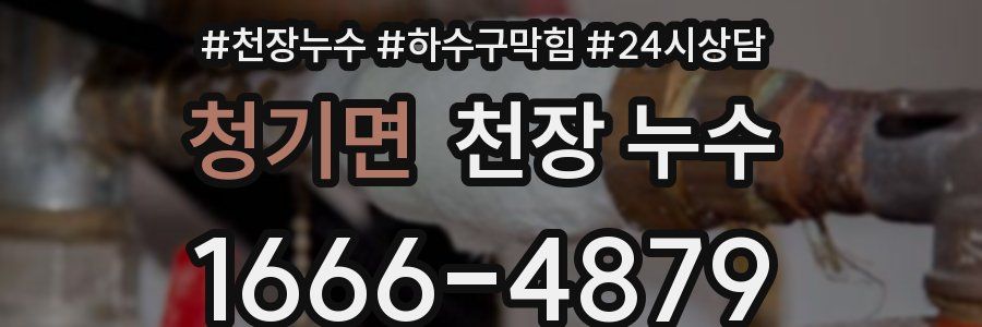 청기면 천장 누수