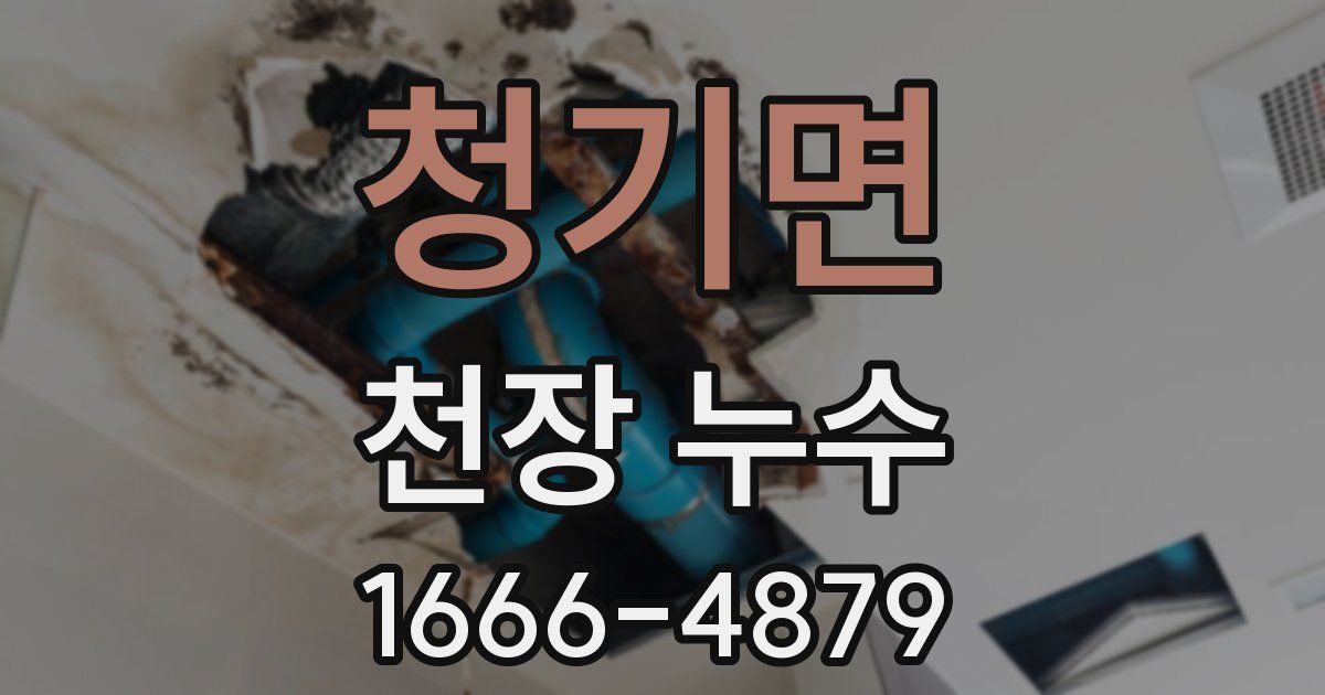 청기면 천장 누수