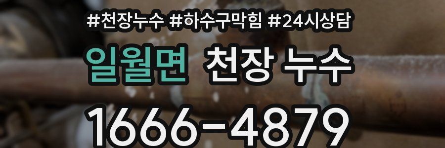 일월면 천장 누수