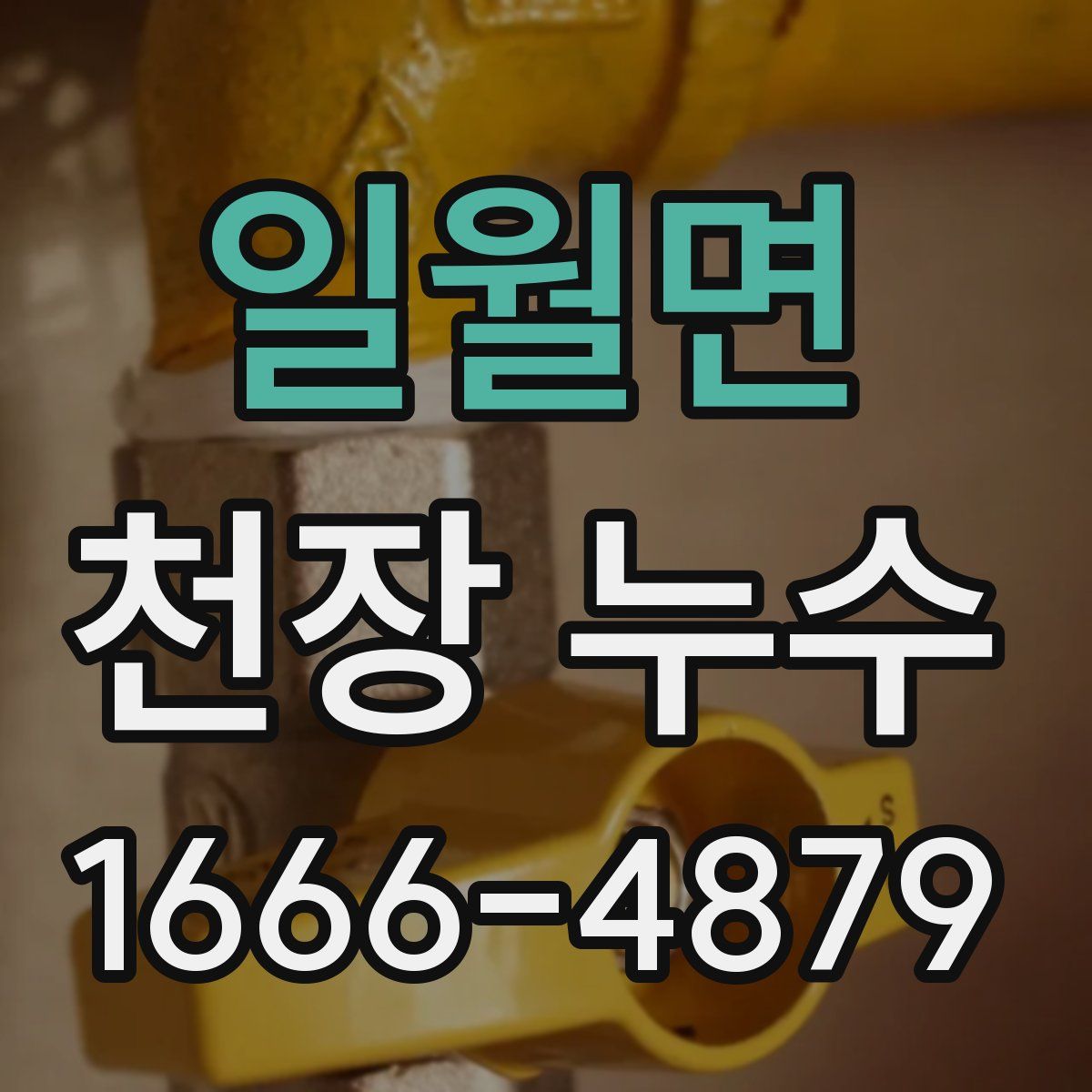 일월면 천장 누수