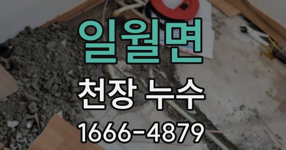 일월면 천장 누수