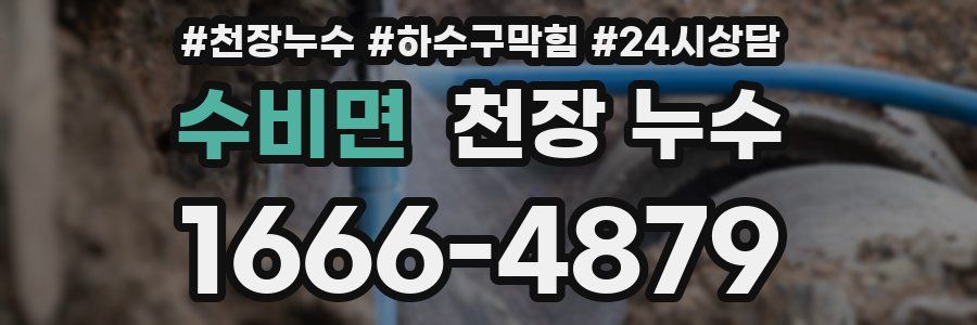 수비면 천장 누수