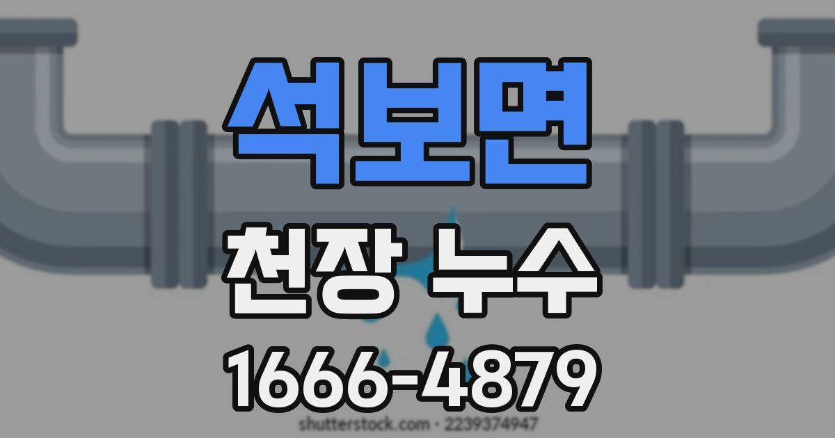 석보면 천장 누수