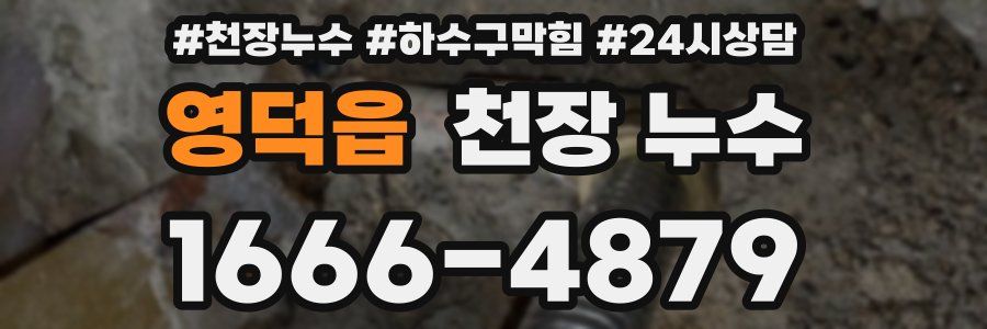 영덕읍 천장 누수