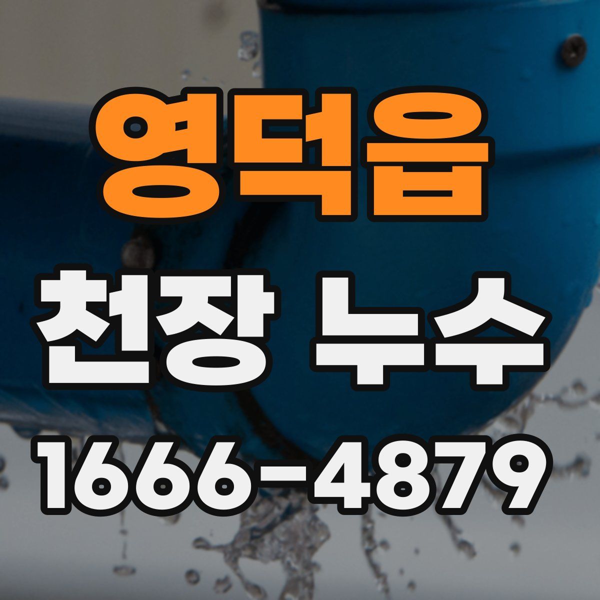 영덕읍 천장 누수