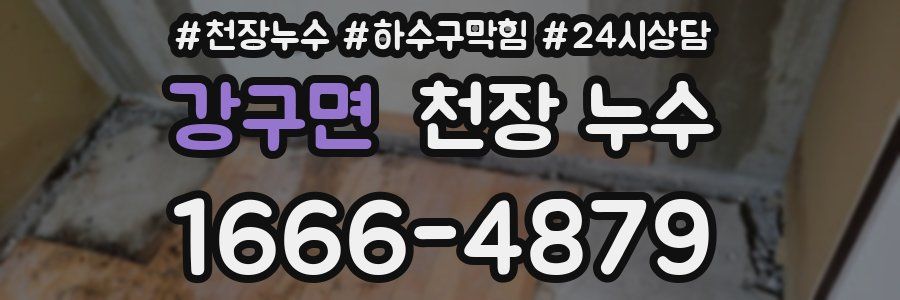 강구면 천장 누수