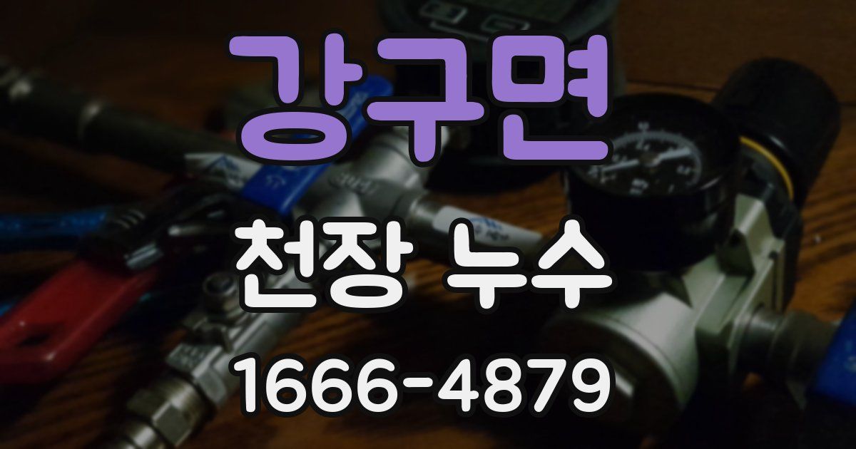 강구면 천장 누수