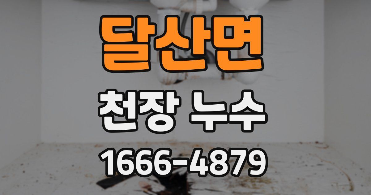 달산면 천장 누수