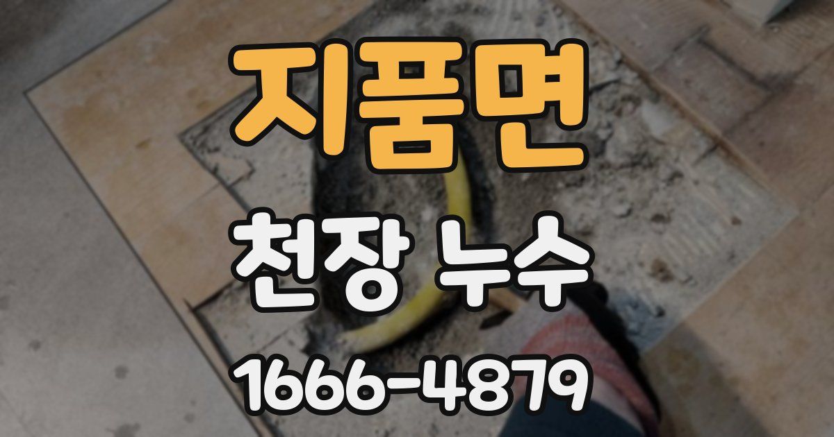 지품면 천장 누수