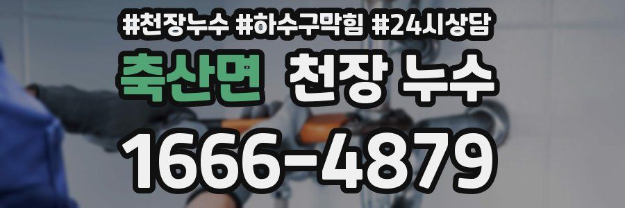 축산면 천장 누수