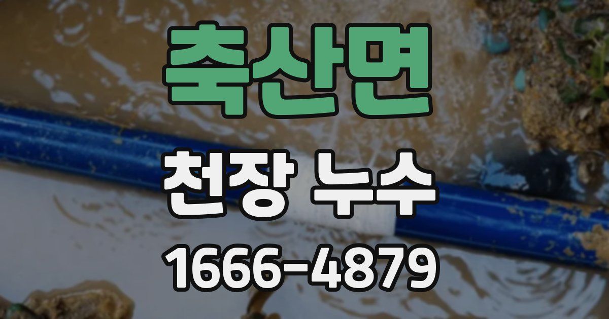 축산면 천장 누수