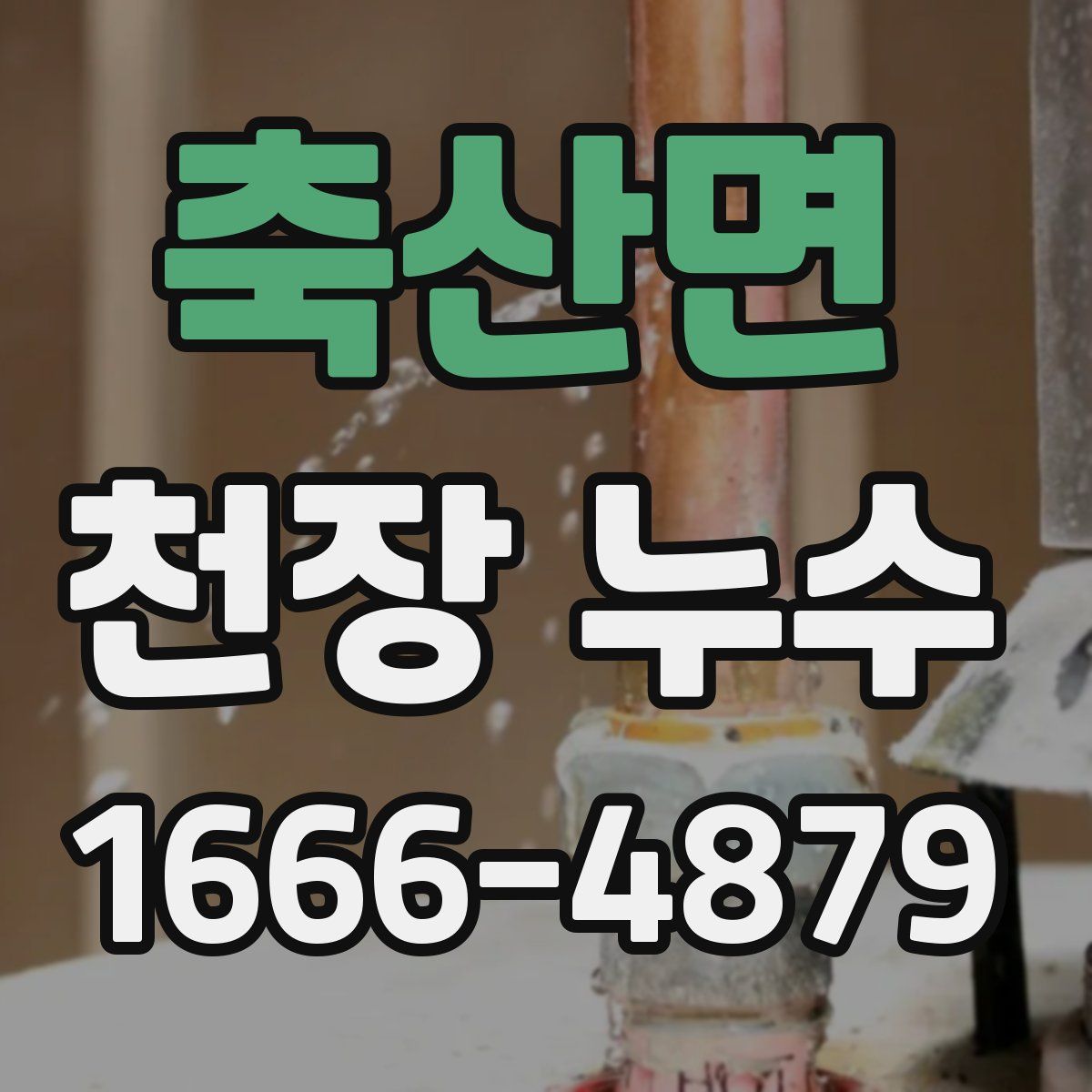 축산면 천장 누수